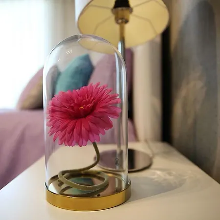 Lejlighed Family Studio Aveiro