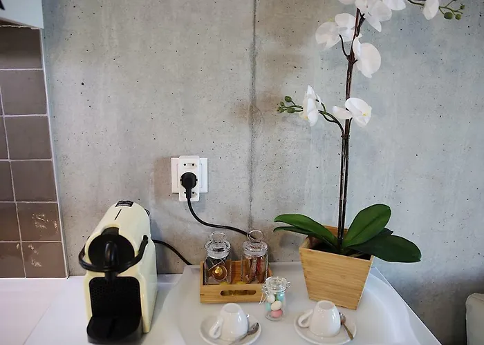 Family Studio Apartmán Aveiro