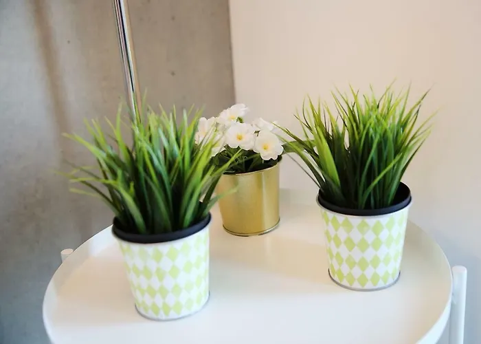 Apartmán Family Studio *