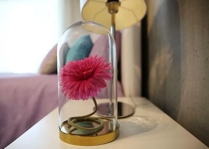 Apartmán Family Studio Aveiro